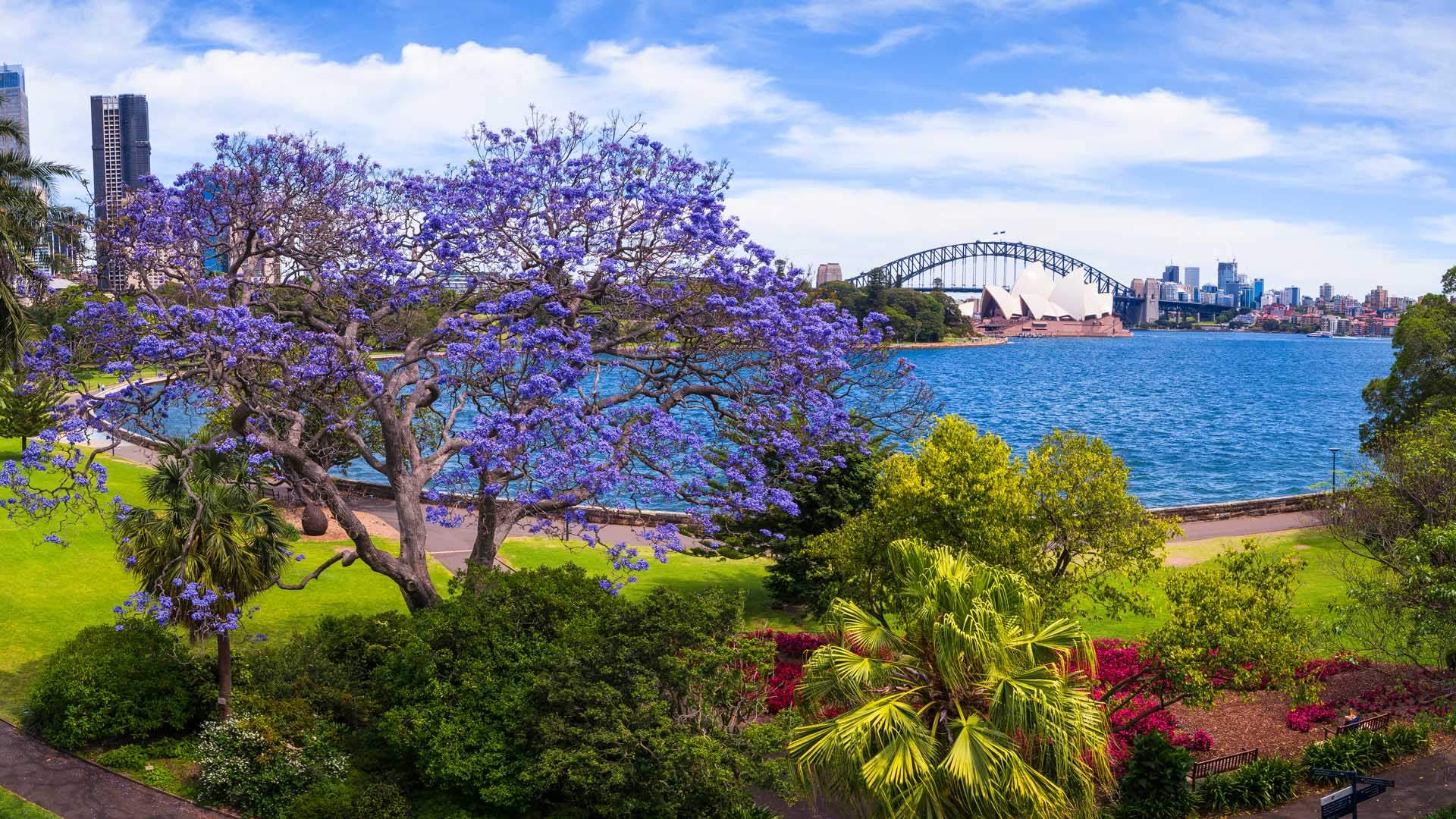 Landscaping Tips for Australian Homes & Gardens
