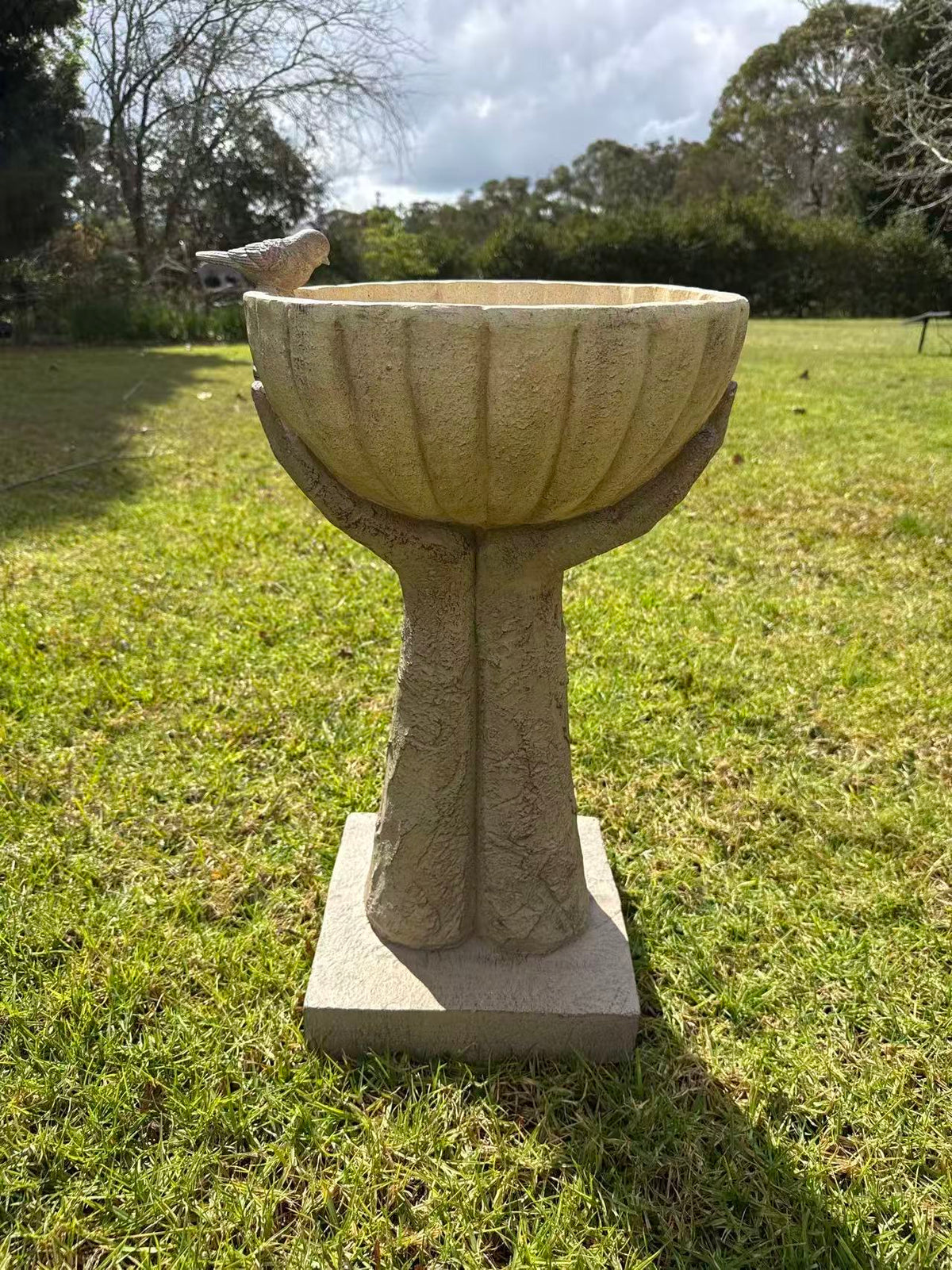 Orgolio Birdbath – Hand-Held Scalloped Bowl with Perched Bird Detail, Natural Sandstone-Cream MGO