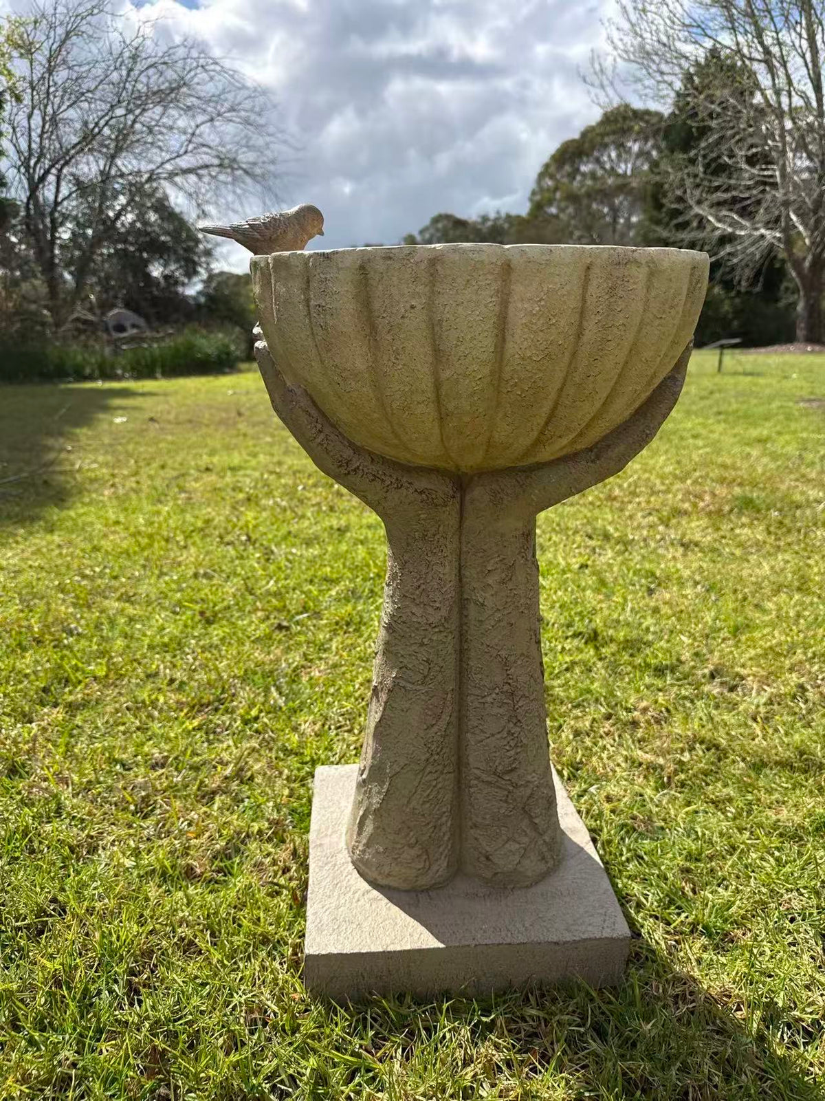 Orgolio Birdbath – Hand-Held Scalloped Bowl with Perched Bird Detail, Natural Sandstone-Cream MGO