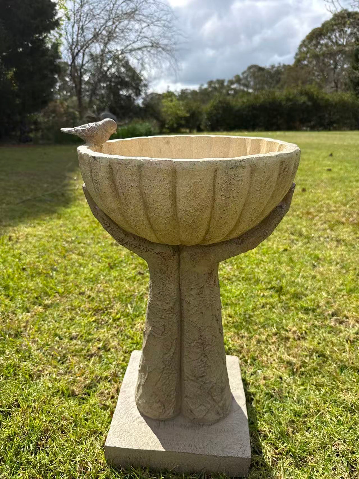 Orgolio Birdbath – Hand-Held Scalloped Bowl with Perched Bird Detail, Natural Sandstone-Cream MGO
