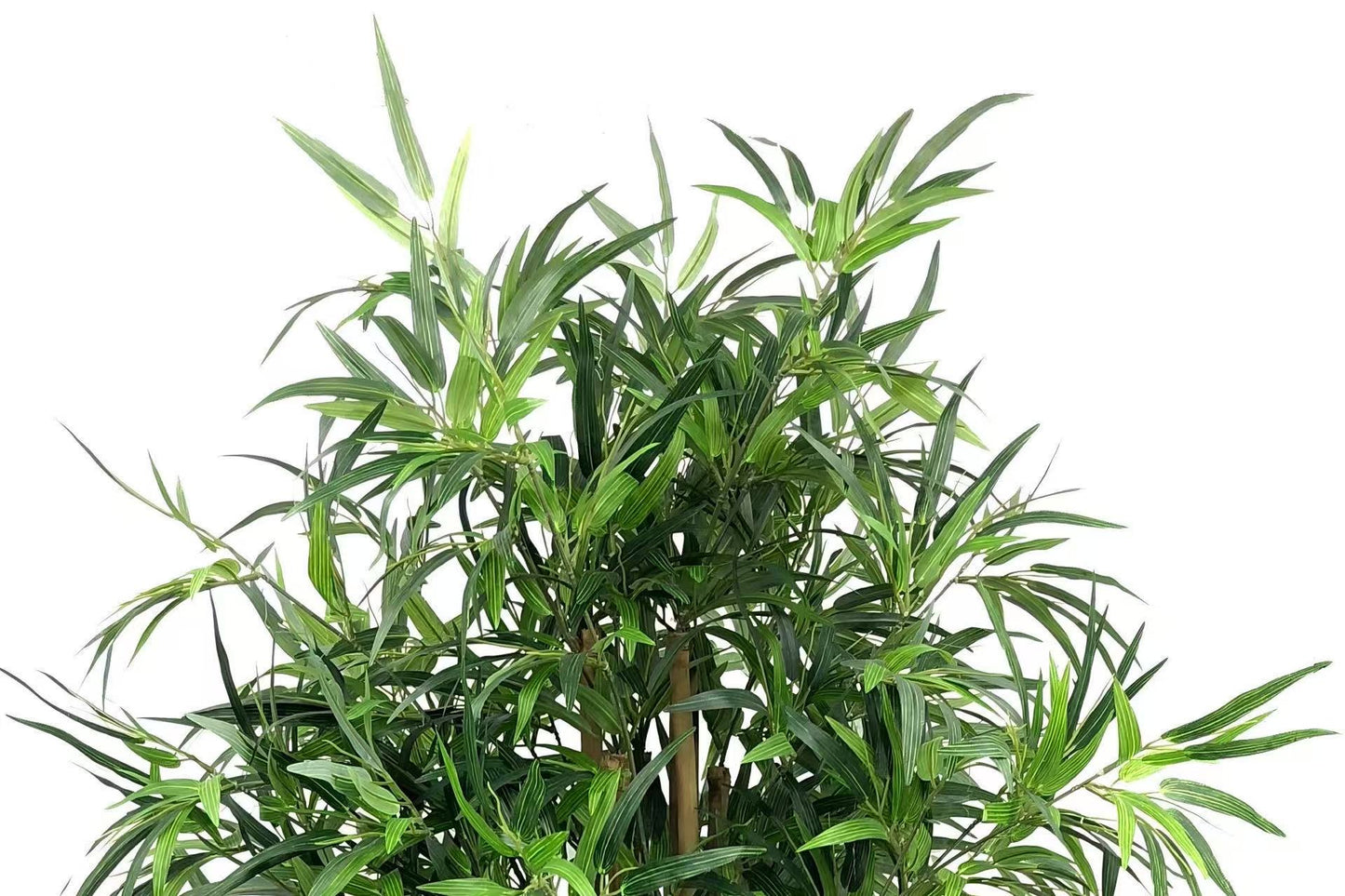 Bamboo Tree 180cm