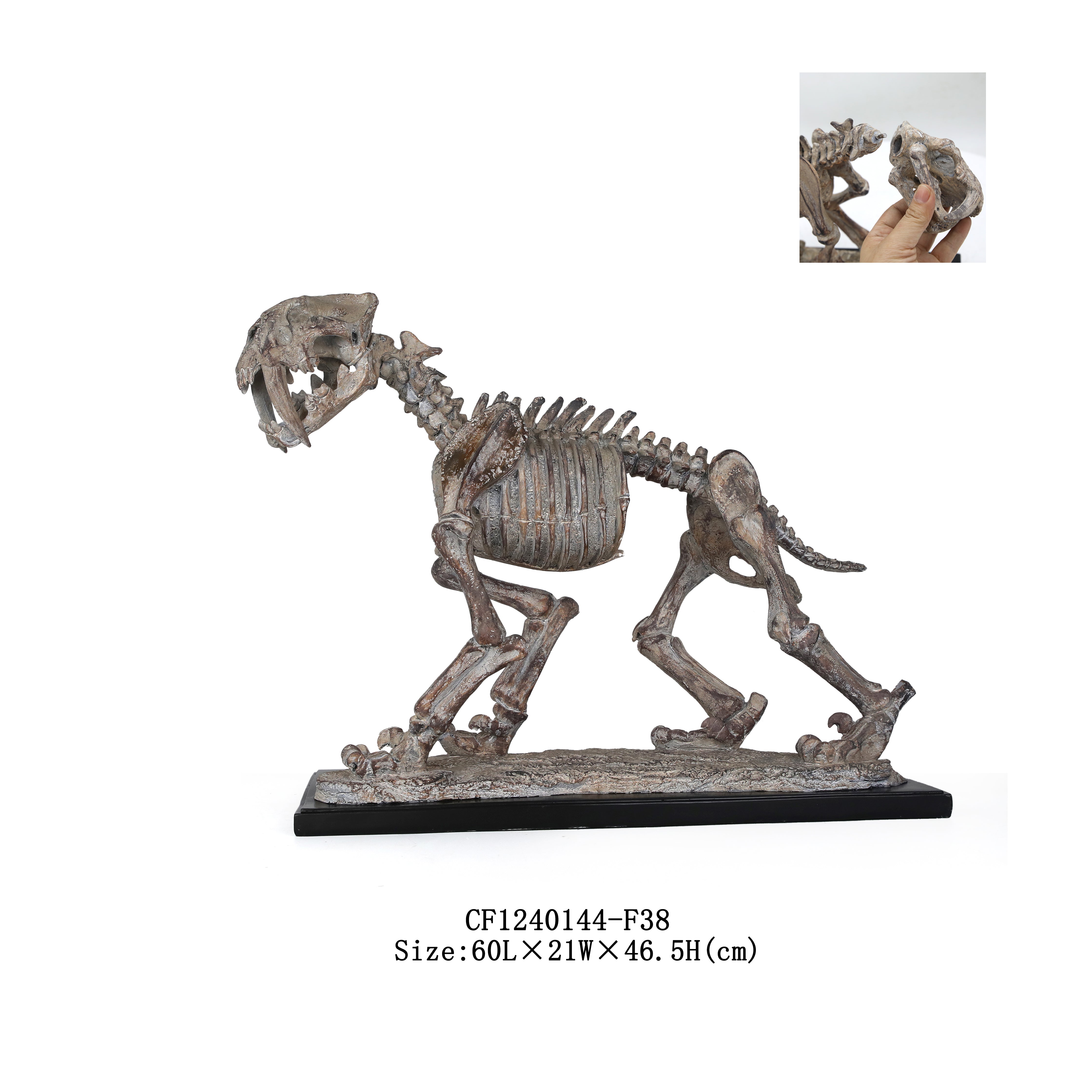 Section Image