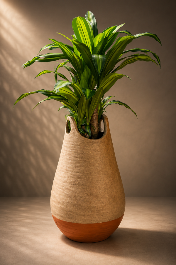 Bedouin Basket Planter Outdoor Stone Designer Series Sept 2022