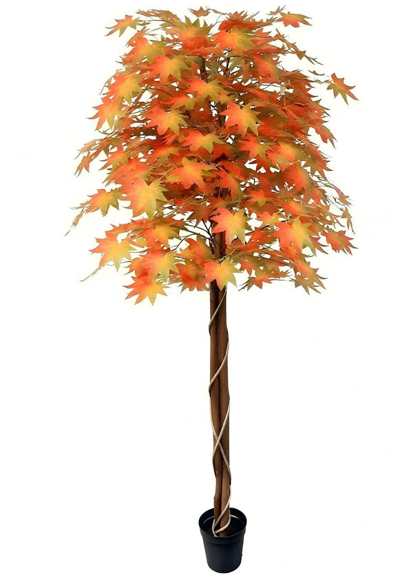Maple Tree 180cm