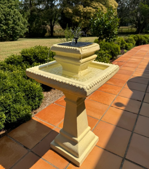 image1 image1