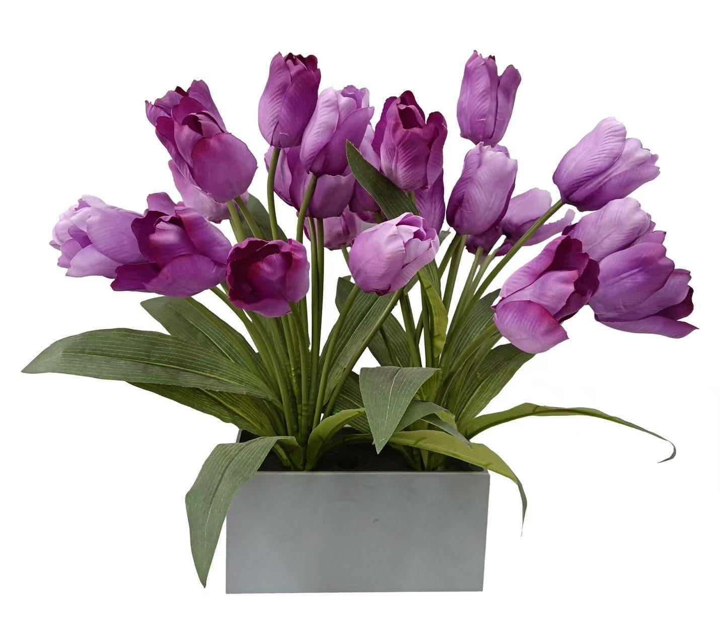 Tulip Flowers 50cm