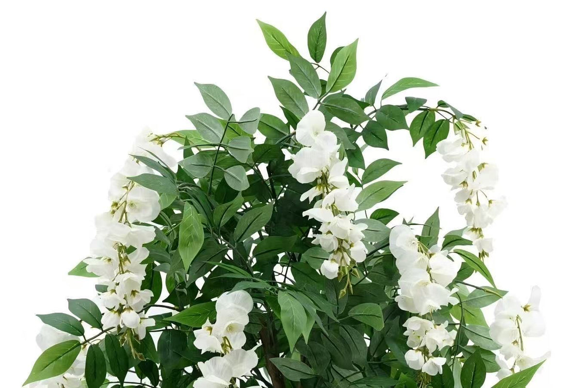 Wisteria White 140cm
