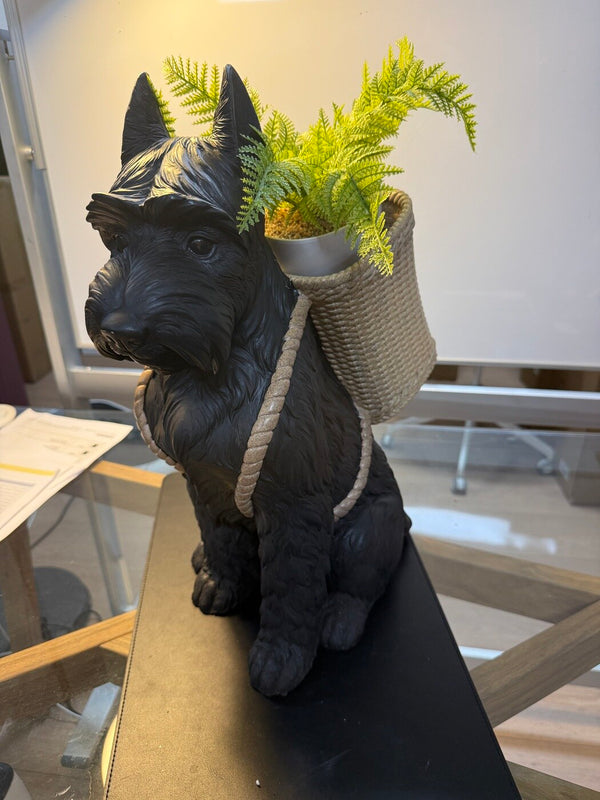 Perro black Scottish terrier dog statue with fern in basket planter, real showroom photo