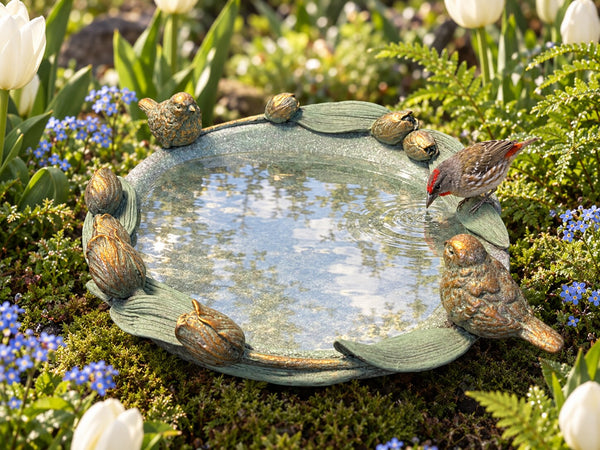 Volare verdigris resin bird bath with tulips and birds in a spring garden with a finch bathing