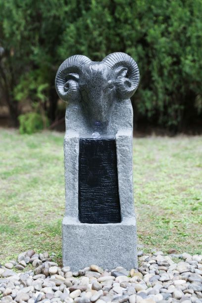 Section Image