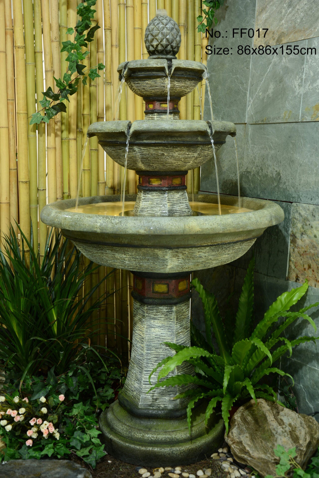 Section Image