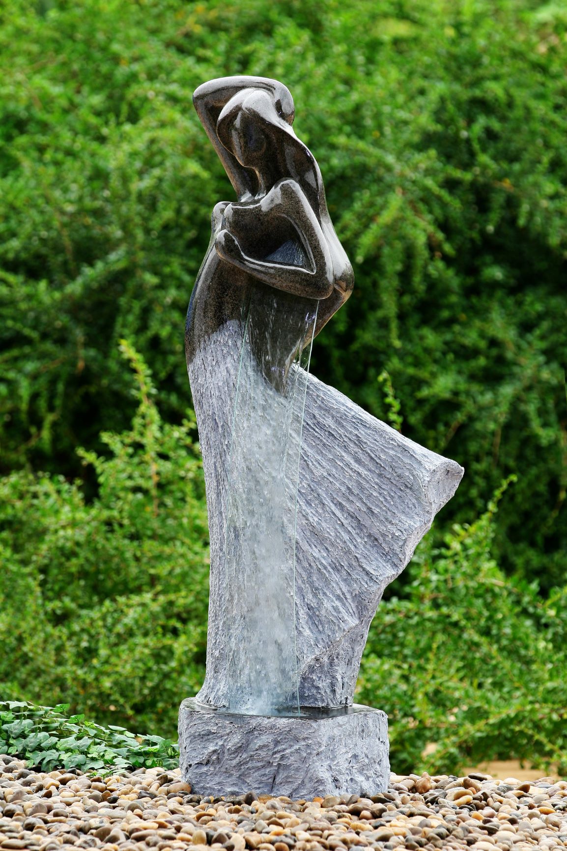 Section Image