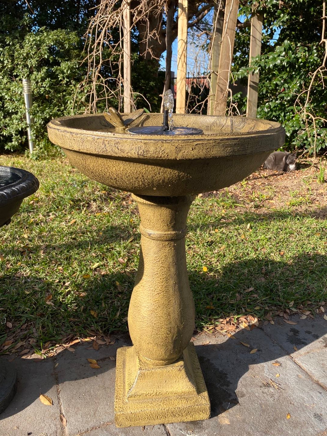 Section Image