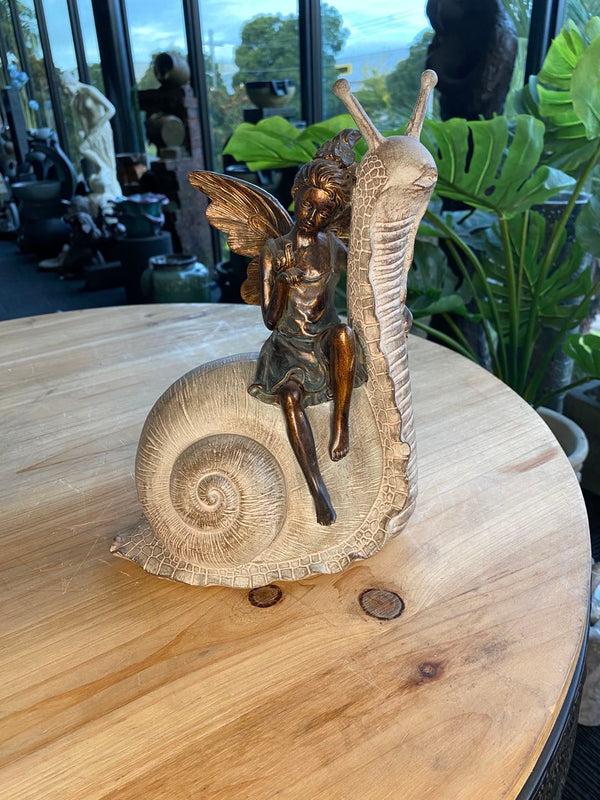 Palmyra Fairy on Snail