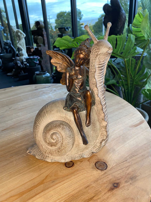 Palmyra Fairy on Snail
