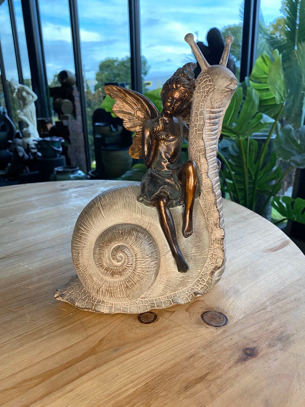 Palmyra Fairy on Snail