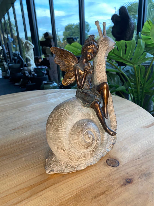 Palmyra Fairy on Snail