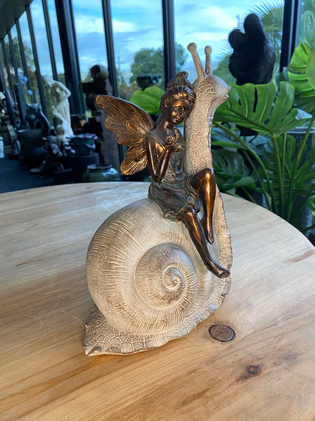 Palmyra Fairy on Snail