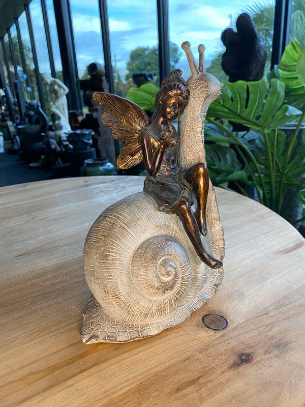 Palmyra Fairy on Snail