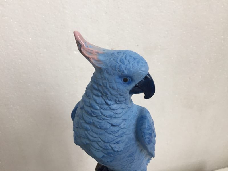Exotic Light Blue Bird Parrot on Perch