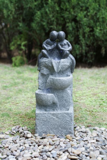 Section Image