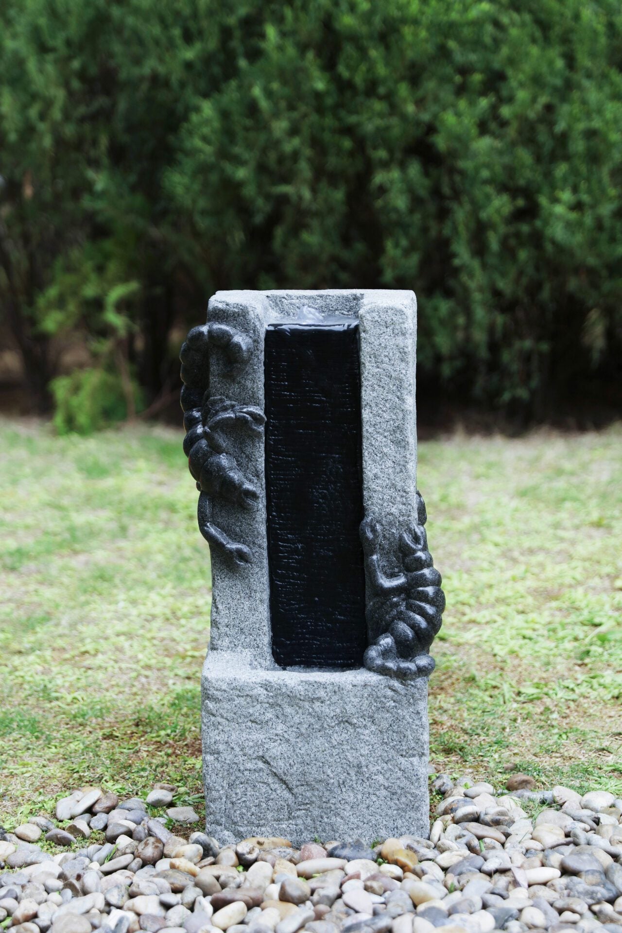 Section Image