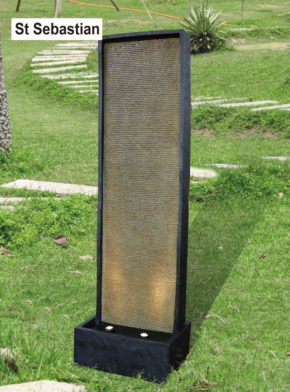 Section Image