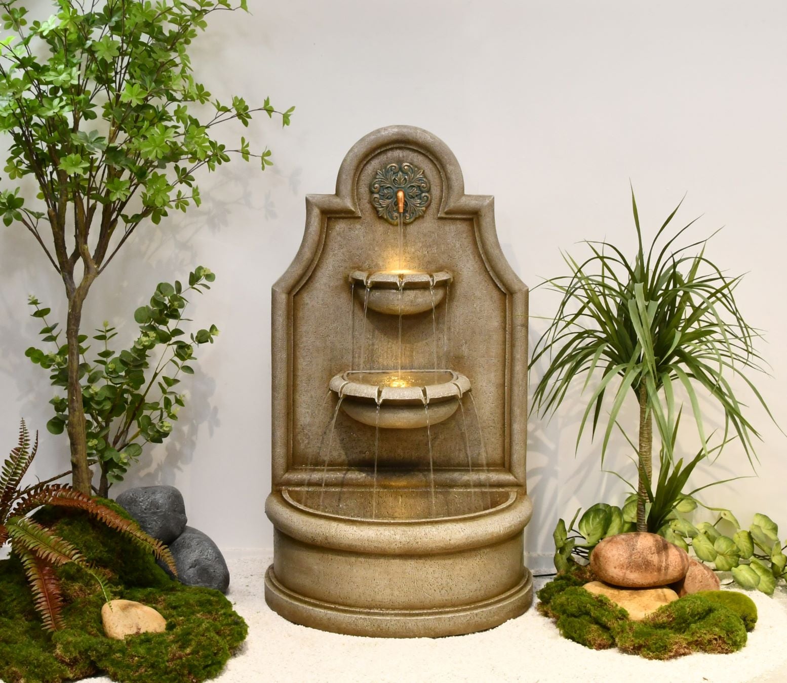 Section Image
