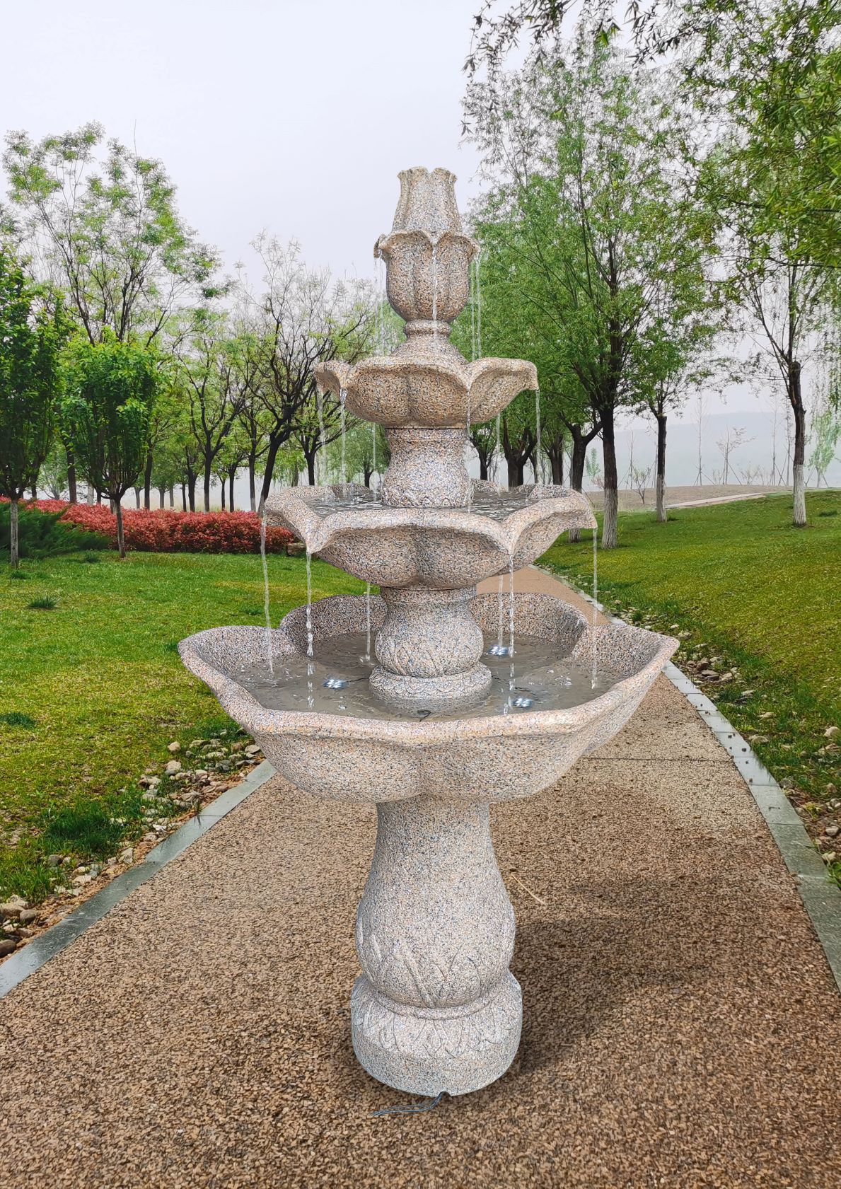 Section Image