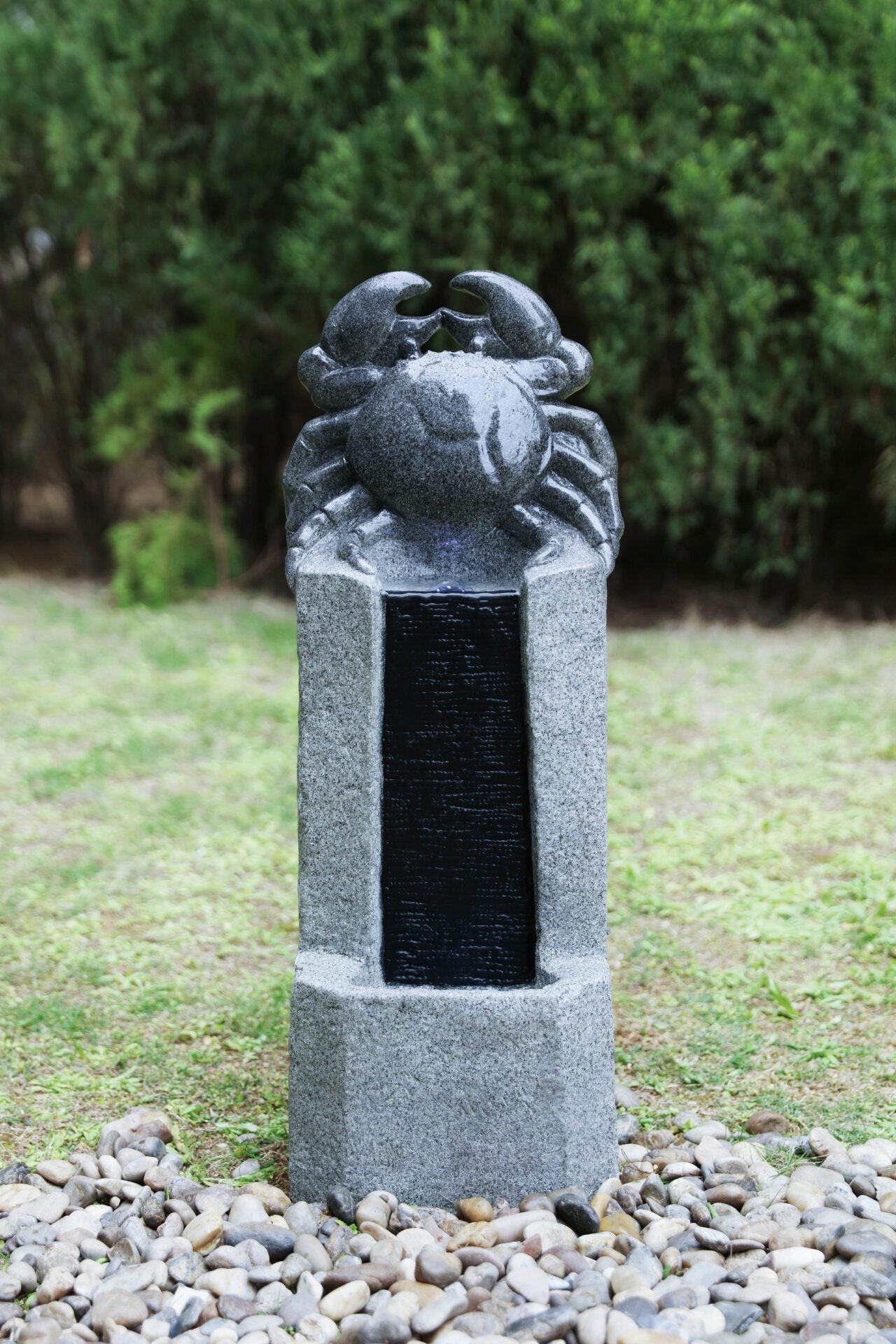 Section Image