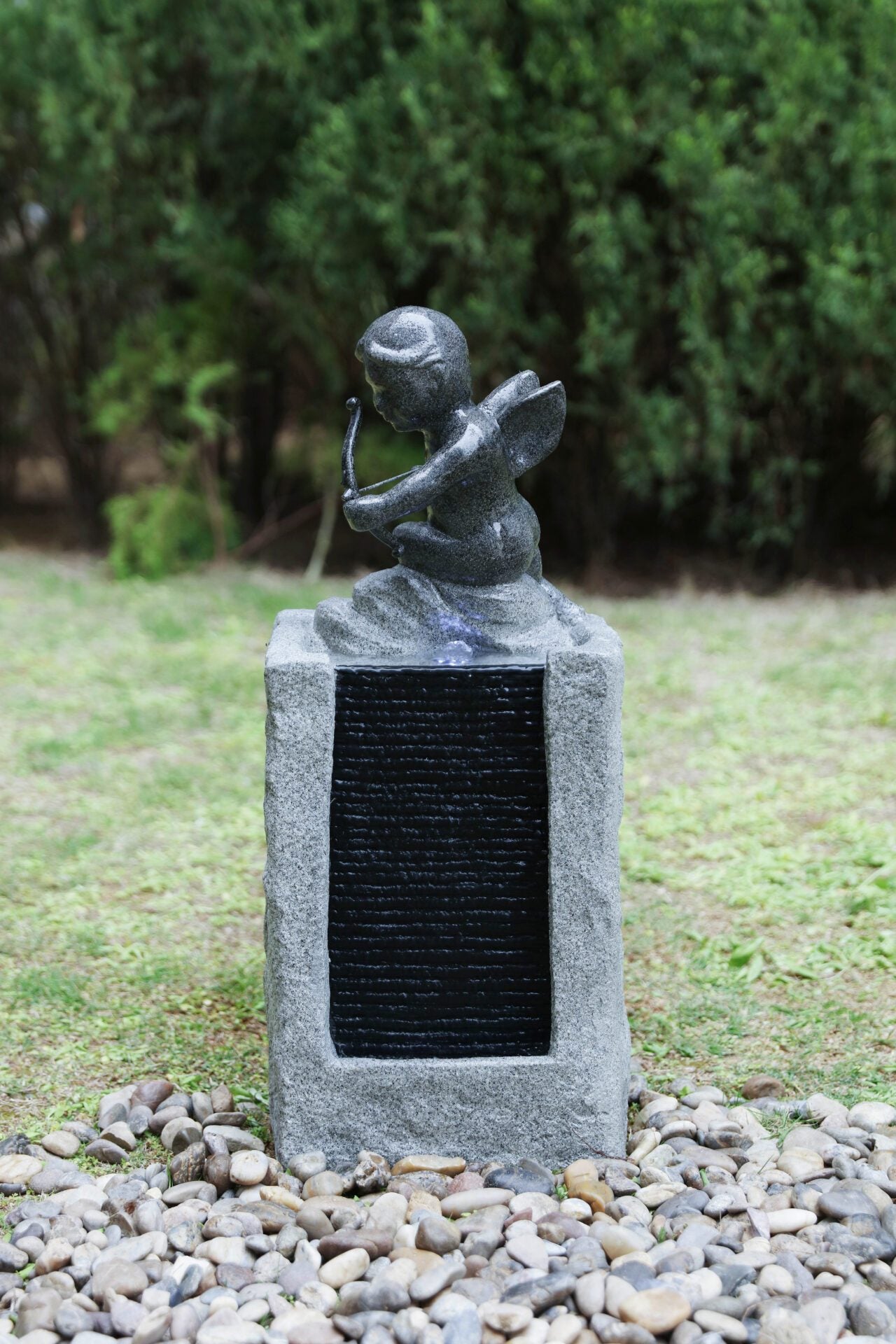 Section Image