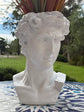 Davide Statue Bust White Statement