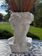 Davide Statue Bust White Statement