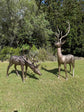 Cierva Vernado pair of large bronze-coloured deer statues