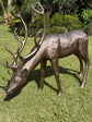 Cierva Vernado pair of large bronze-coloured deer statues