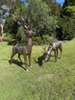 Cierva Vernado pair of large bronze-coloured deer statues