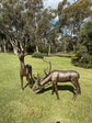 Cierva Vernado pair of large bronze-coloured deer statues