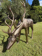 Cierva Vernado pair of large bronze-coloured deer statues