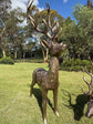 Cierva Vernado pair of large bronze-coloured deer statues
