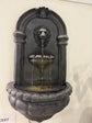 Cadij Lion Wall Hanging Water Feature