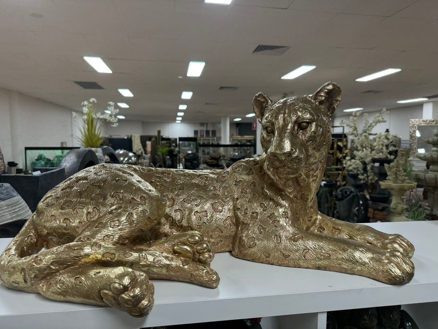 LEOPARDO LAYING LEOPARD GOLD PERFECT GIFT ETA July 2026