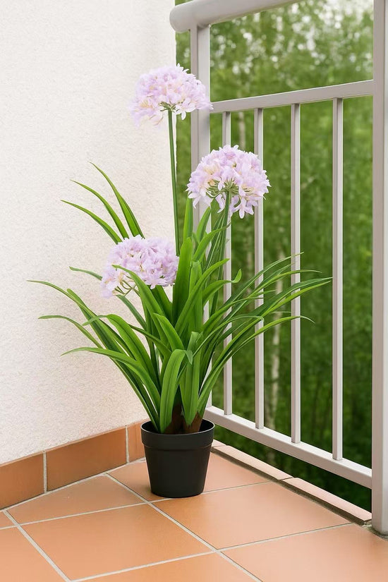 African Lilly Flowers 90cm