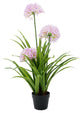 African Lilly Flowers 90cm