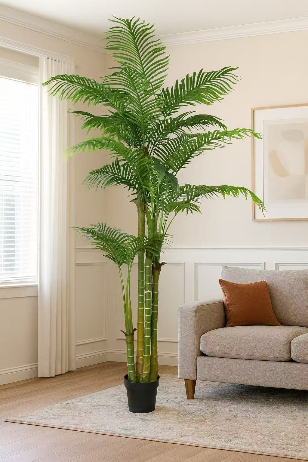 Areca Palm 210cm