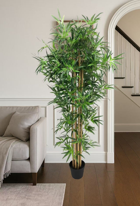 Bamboo Tree 180cm