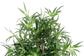 Bamboo Tree 180cm