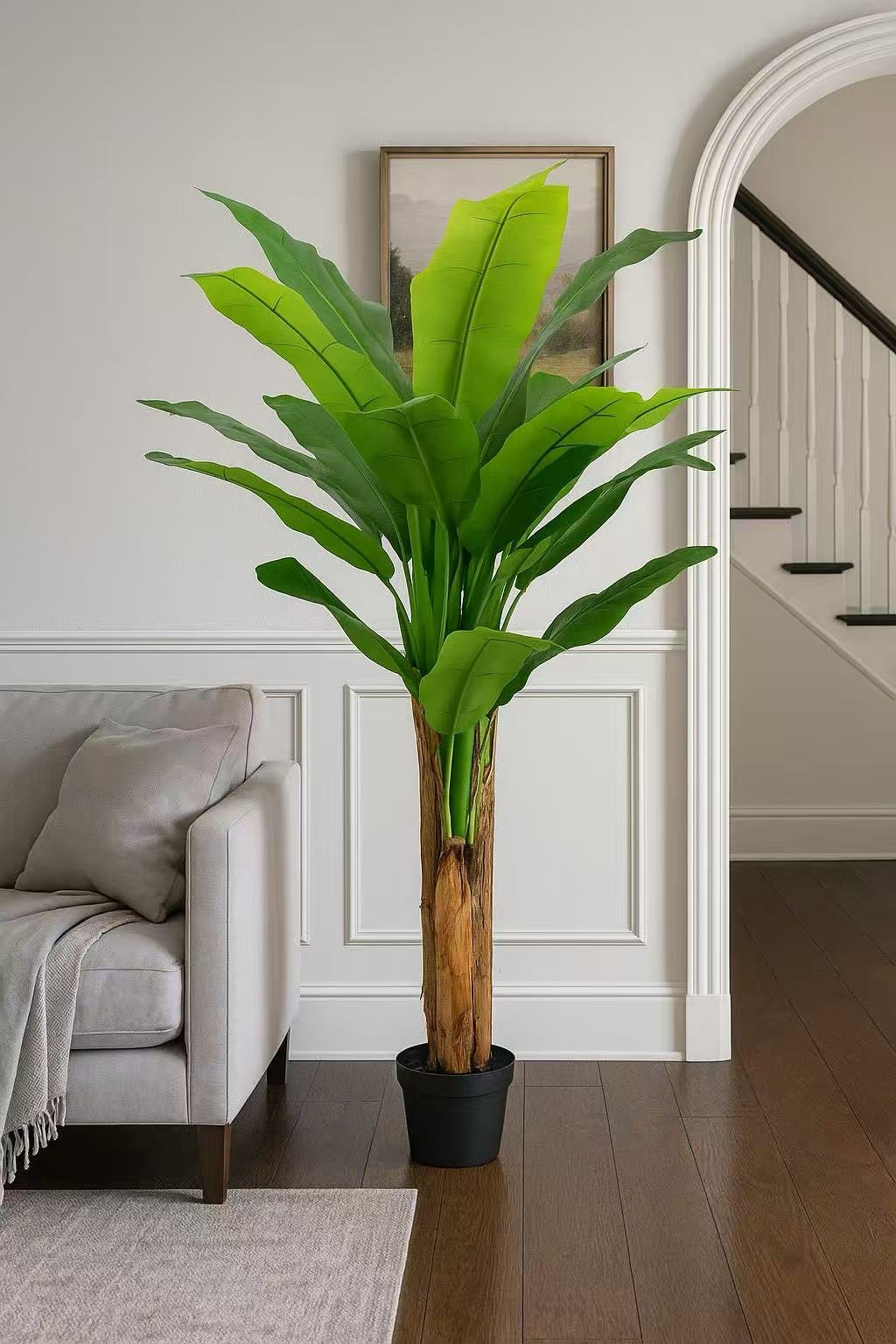Banana Tree 180cm