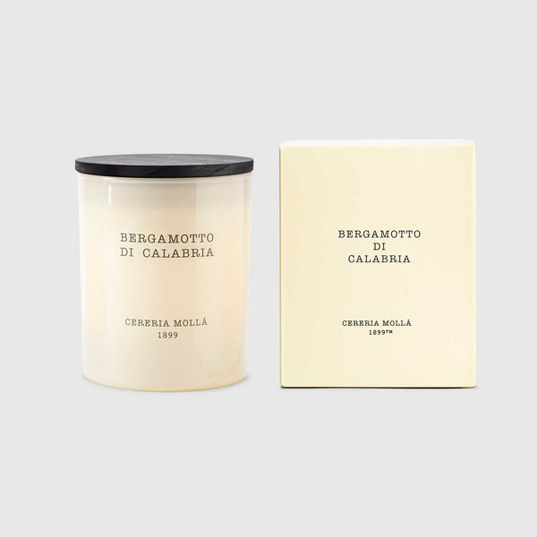 Velvet Wood 230g Premium Candle - Cereria Molla 1899