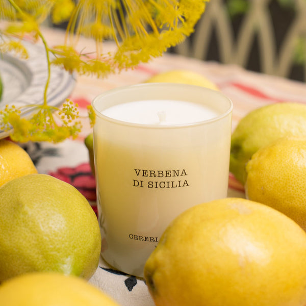 Velvet Wood 230g Premium Candle - Cereria Molla 1899