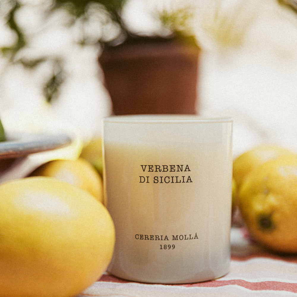 Velvet Wood 230g Premium Candle - Cereria Molla 1899
